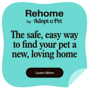 RehomebyAdoptaPet-safe